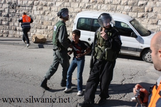 Israeli forces arrest a 10 year old child in Silwan. Photo: Silwanic.net